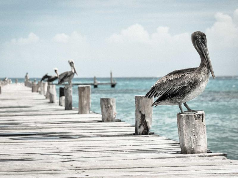 命运的齿轮<br>ljvwvuu.cn 开始转动了